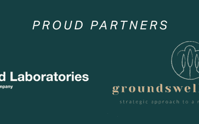 Certified Group Partners with Groundswell Strategy to Strengthen Their Position as Food Safety Experts