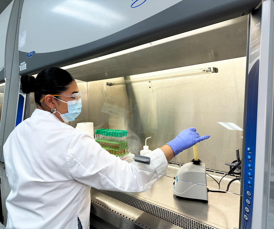 Technician in a cosmetic and OTC testing lab preparing a sample for preservative efficacy testing cosmetics.