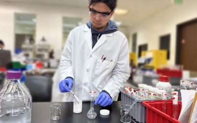 Tinosorb M and Tinosorb S Testing: How Our Validated HPLC Method Supports SPF Product Development