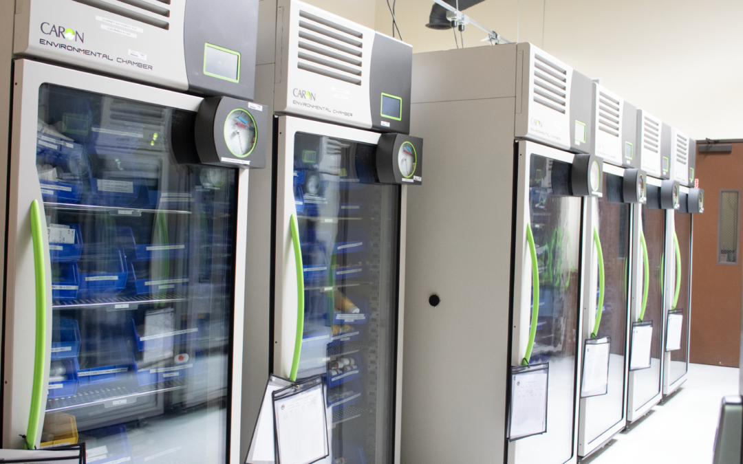 Stability Testing for Natural Health Products (NHP)