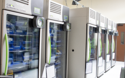 Stability Testing for Natural Health Products (NHP)