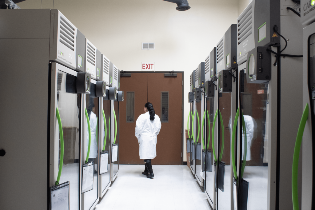 Scientist in white lab coat walking through room full of cosmetic stability testing chambers.