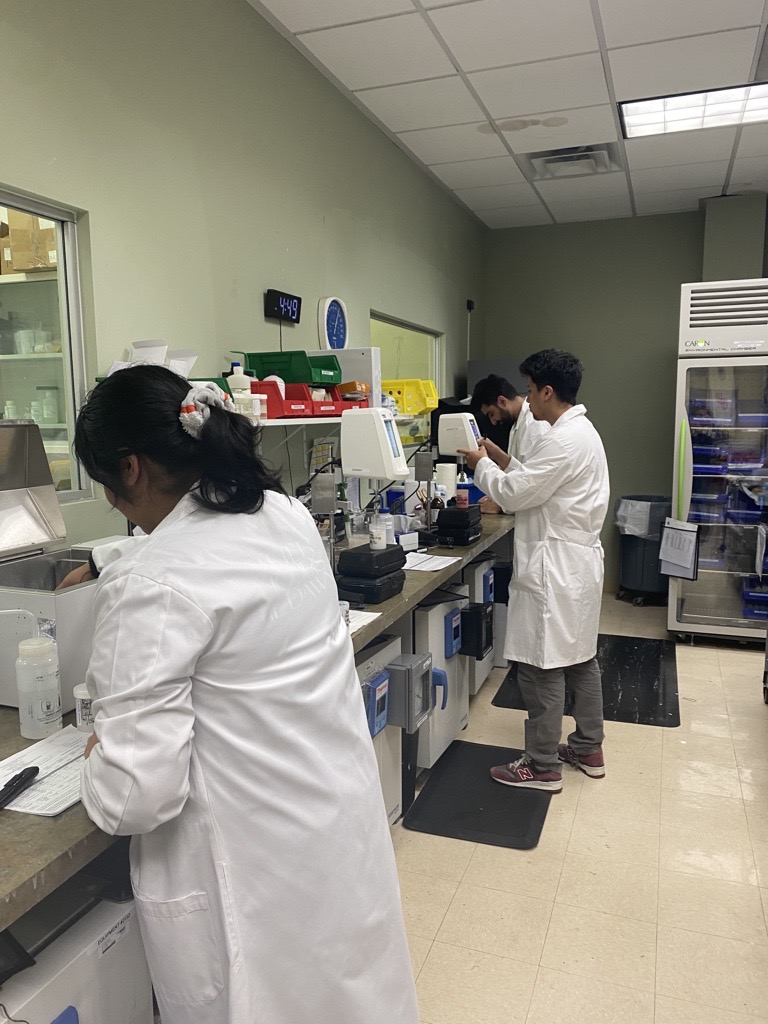 Technicians in stability testing laboratory preparing samples for photostability testing.
