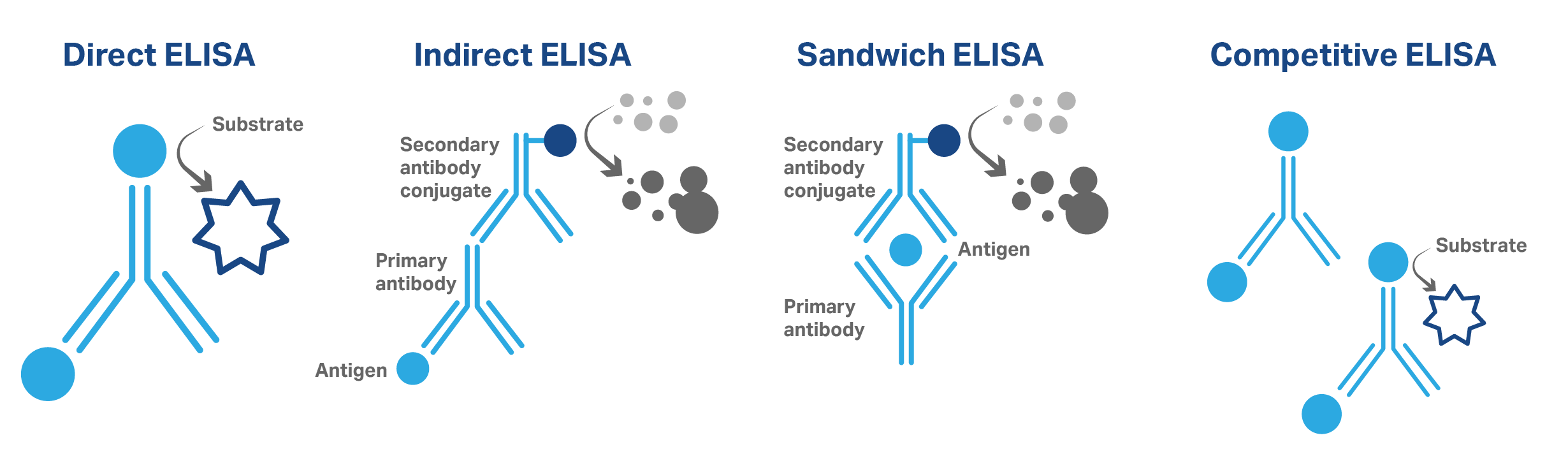 Graphics that show the four formats of ELISA allergen testing.
