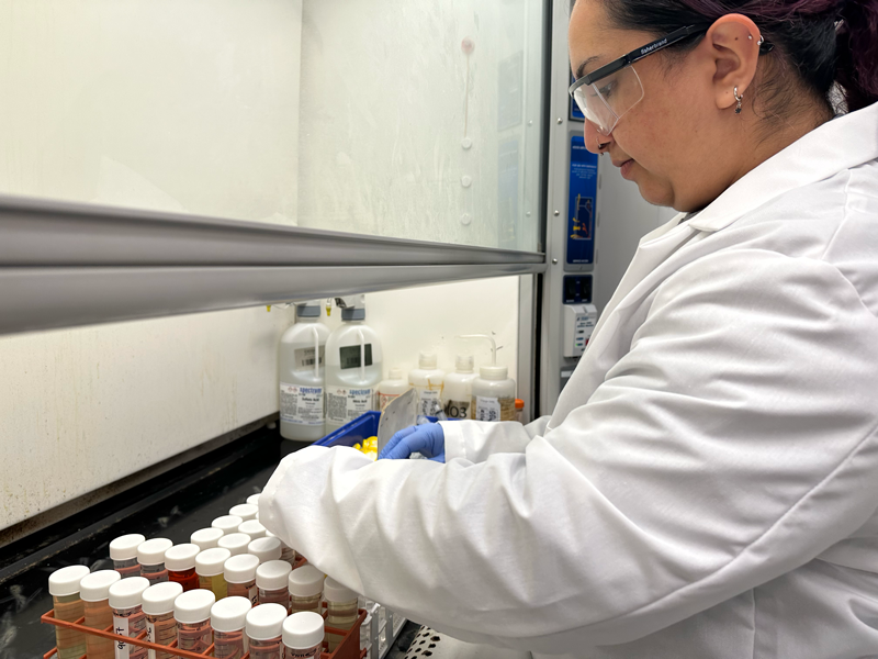 Scientist preparing samples for heavy metals testing of cosmetic products.