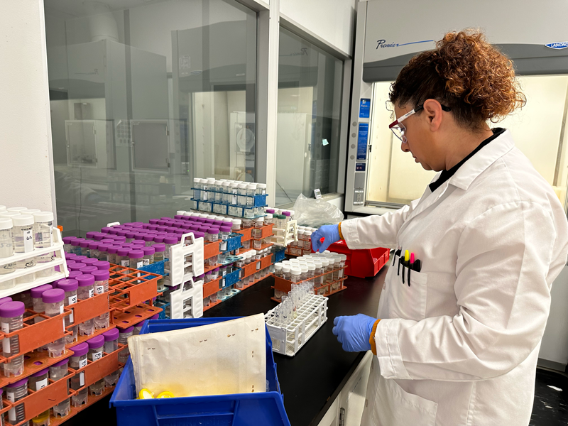 Scientist working with vials of product samples for heavy metals testing of cosmetics.