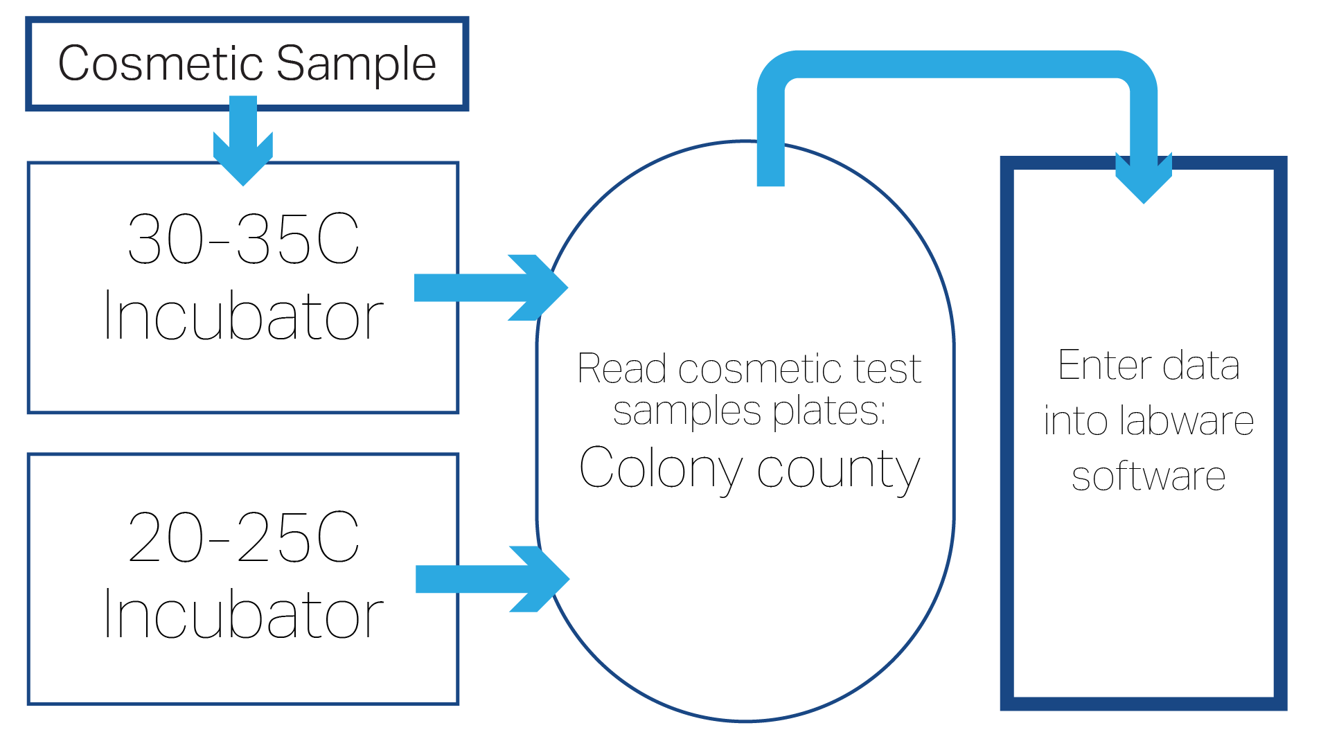 Graphic showing the process steps for conducting cosmetics microbiology testing.