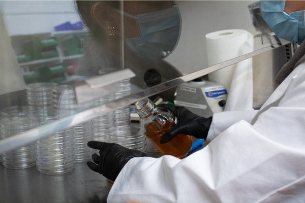 Microbiologist preparing samples for sterility testing in a laboratory. 