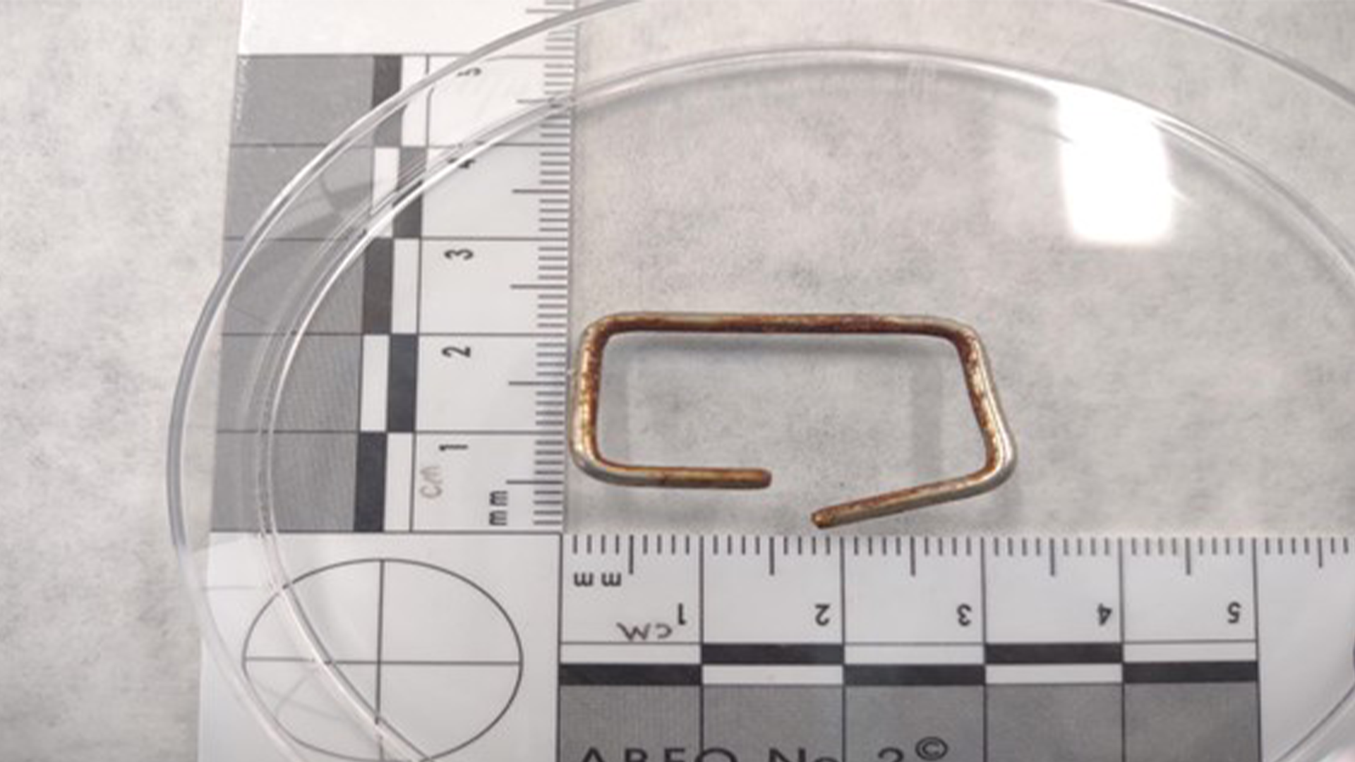 foreign material - Certified Laboratories Rusty U-shaped metal wire placed on a measurement grid with centimeter marks and a circular scale in the background.