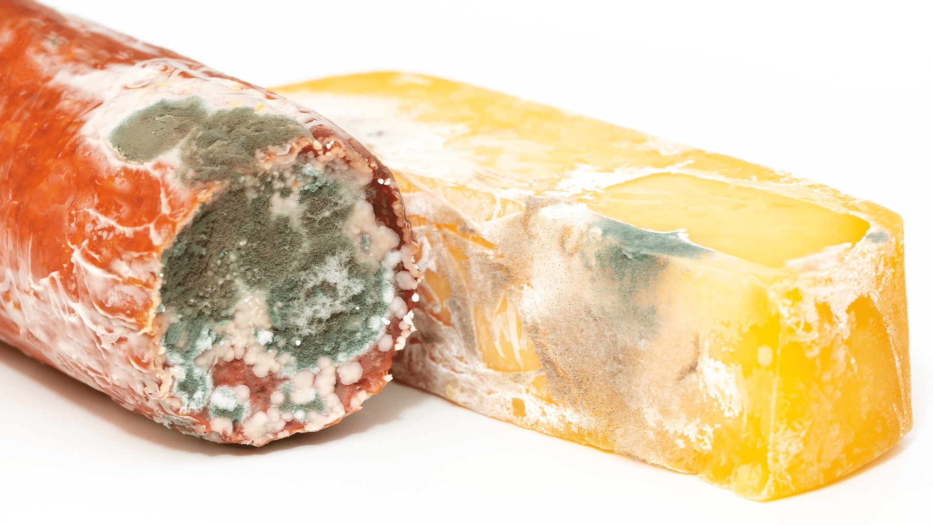 mold - Certified Laboratories Close-up of moldy sausage and a yellow aged cheese showing blue-green and white mold on surfaces (spoiled food).