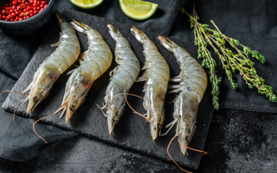 Strategies to Avoid FDA Detention: Antibiotic Residue Testing for Seafood